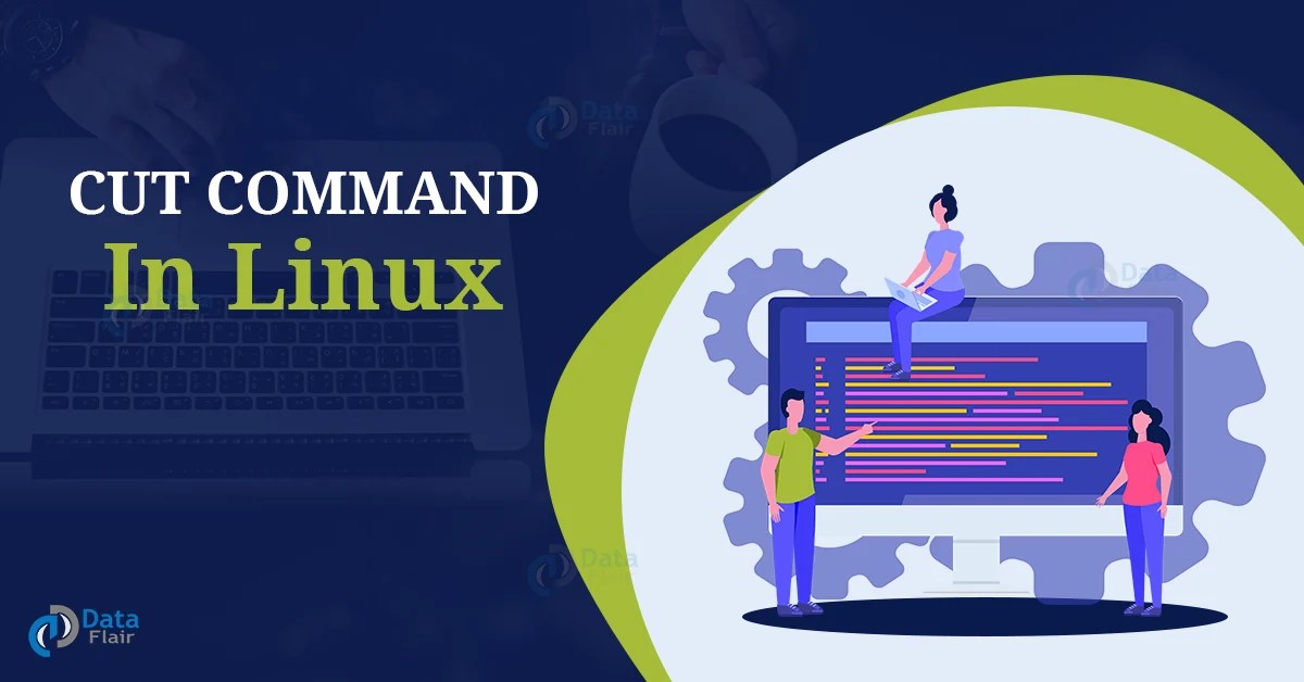 Cut Command in Linux DataFlair