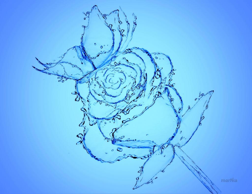 Aqua Rose HD desktop wallpaper Widescreen High Definition Fullscreen