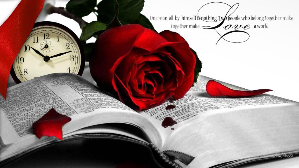 Book A Rose HD desktop wallpaper Widescreen High Definition