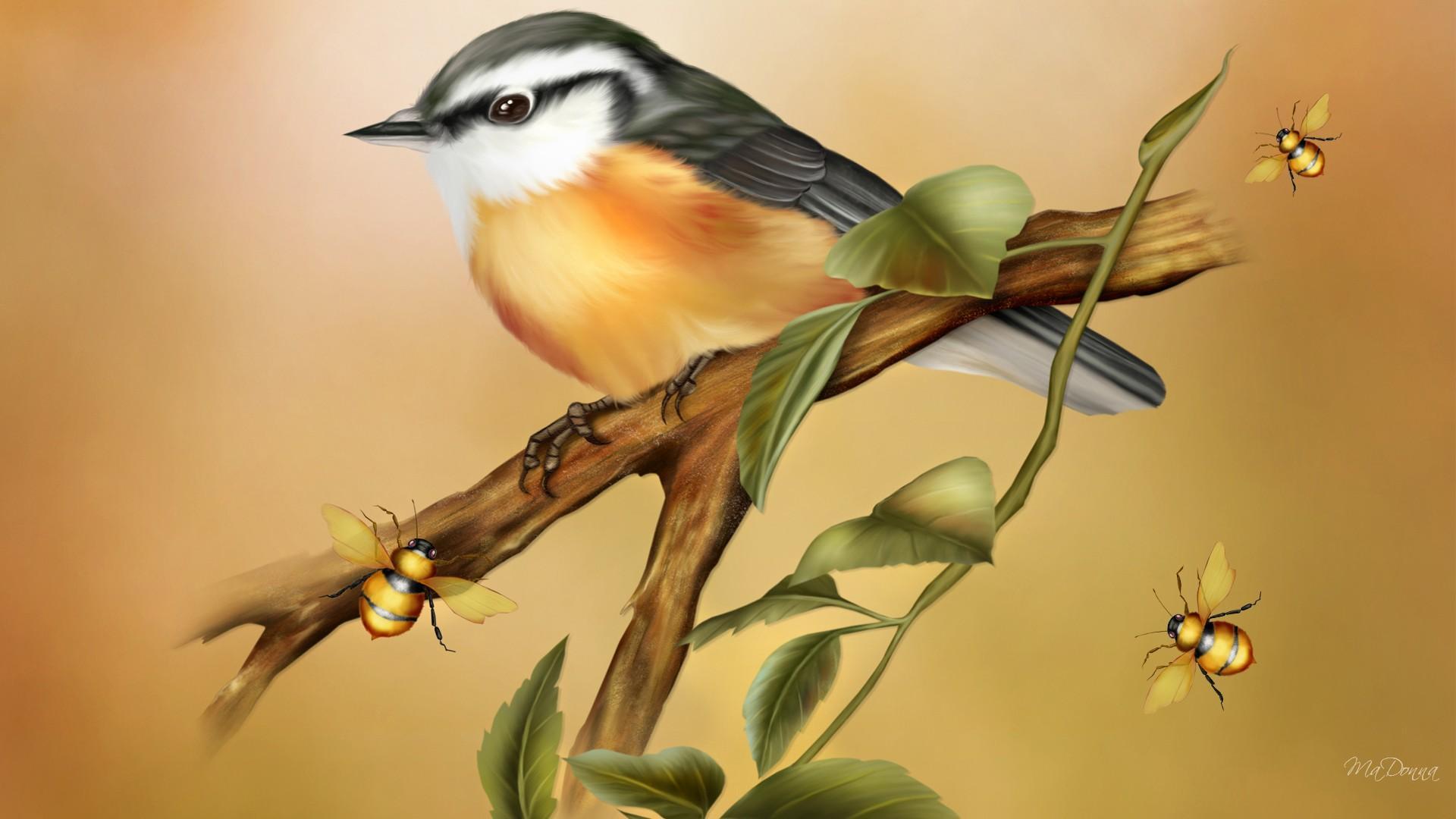 Bird Bees HD desktop wallpaper Widescreen High Definition Fullscreen
