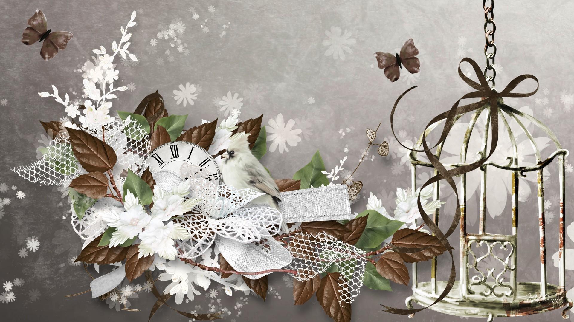 Elegant Bird HD desktop wallpaper Widescreen High Definition