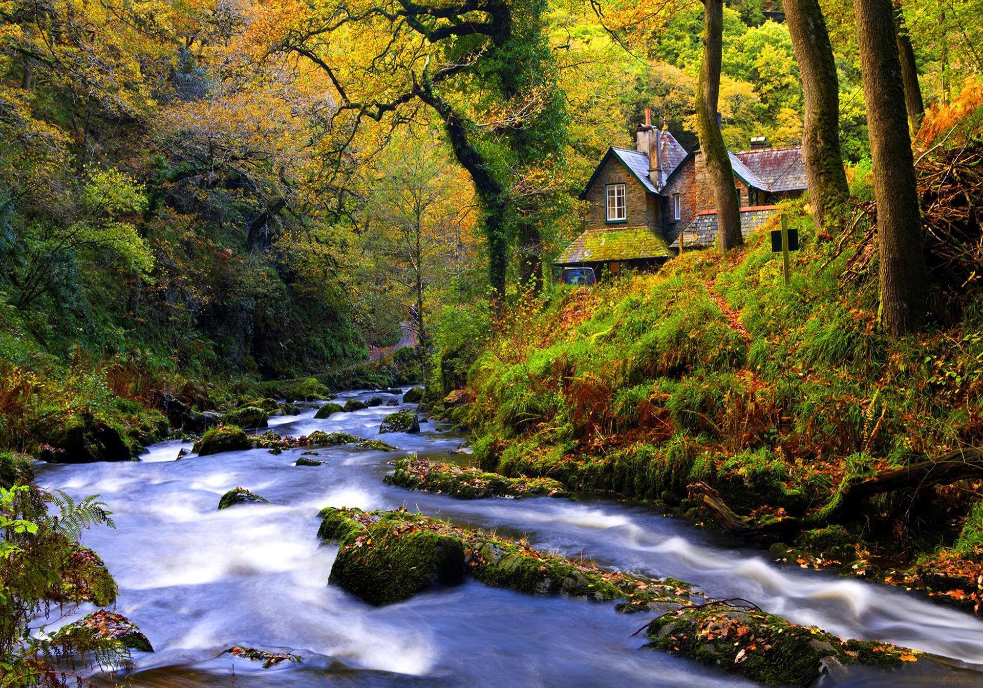 Forest Cottages HD desktop wallpaper Widescreen High Definition Fullscreen