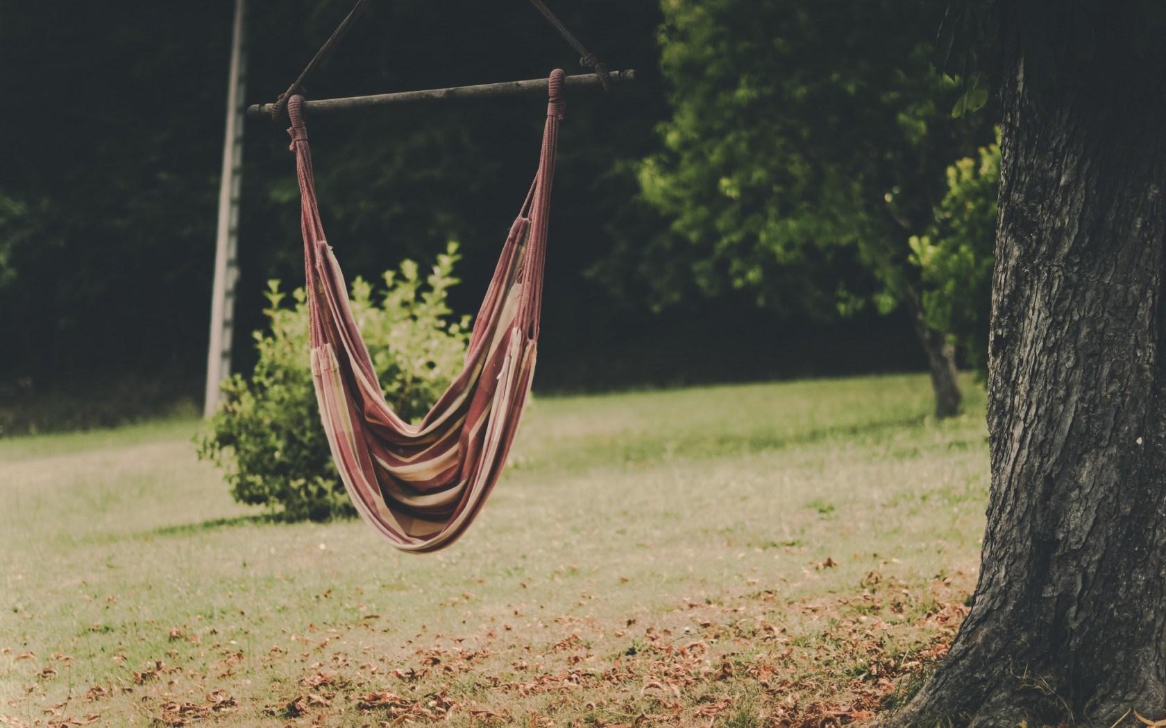Hammock Trees Nature HD desktop wallpaper Widescreen High Definition Fullscreen