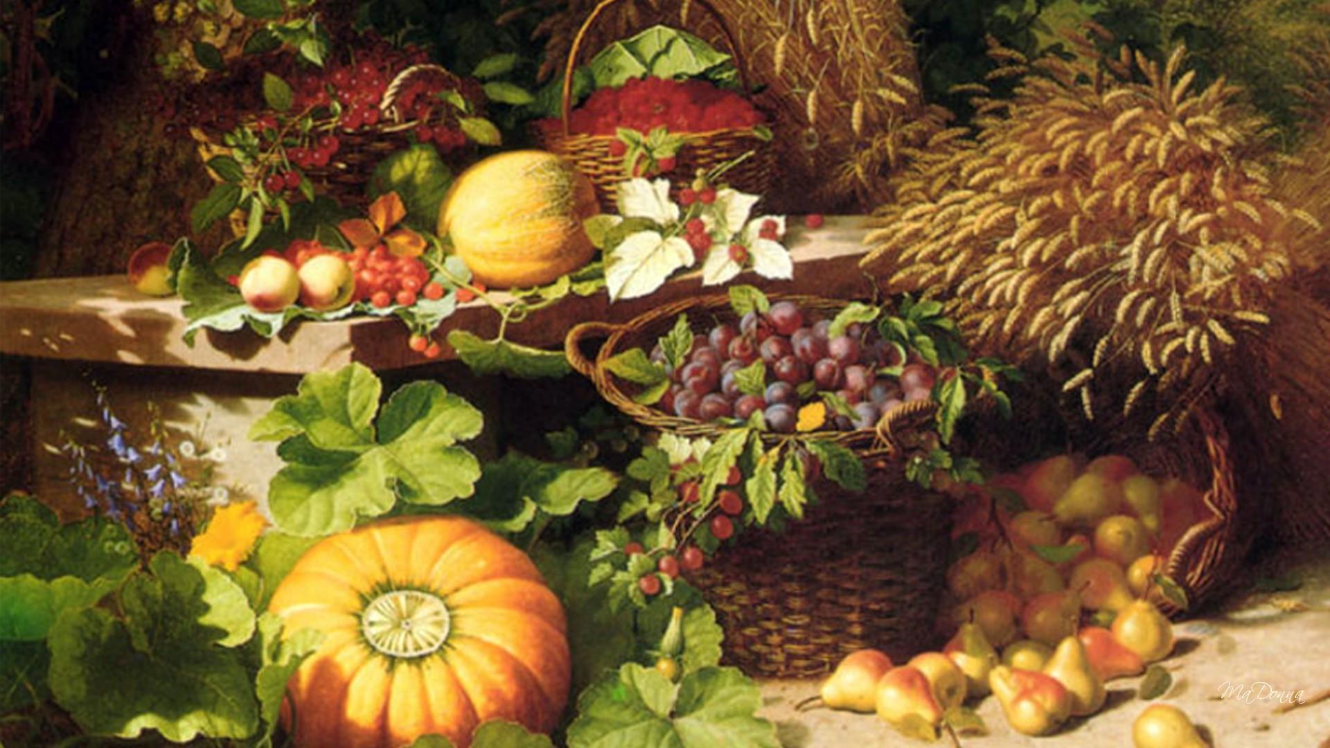 Harvest Time HD desktop wallpaper Widescreen High Definition