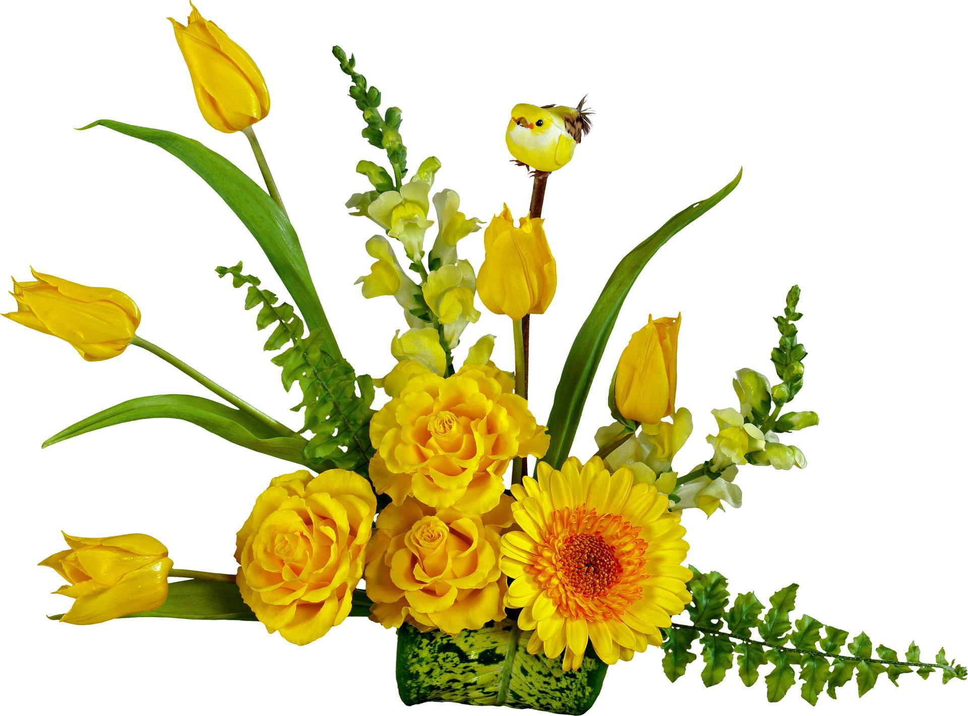 The Yellow Bunch HD desktop wallpaper Widescreen High Definition Fullscreen