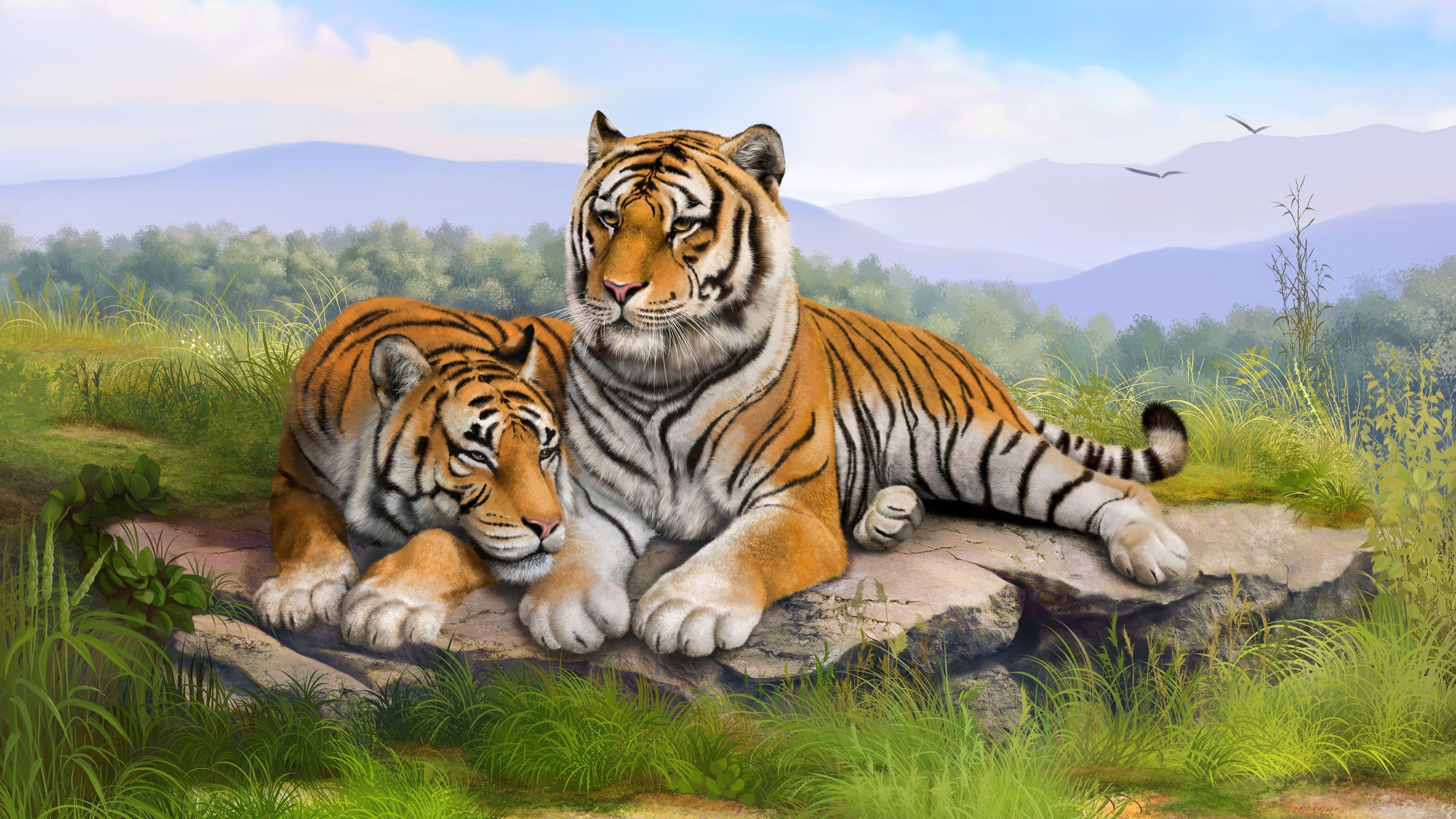 harimau hd wallpaper desktop lebar definisi tinggi
