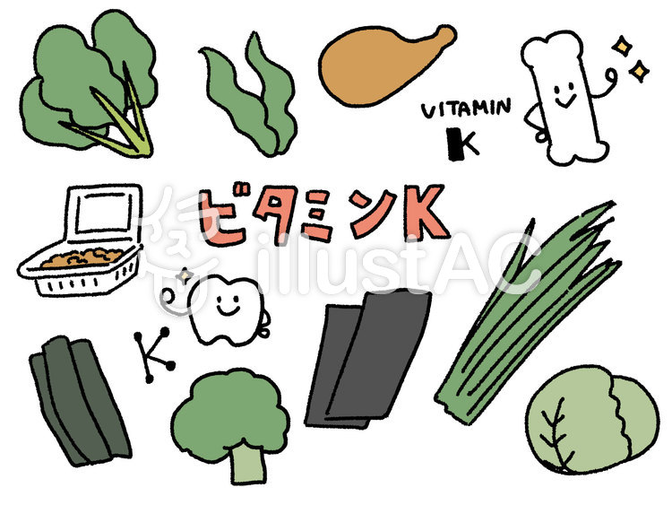 ビタミンKを多く含む食品セット カラーイラスト No 2192569／無料イラストなら「イラストAC」