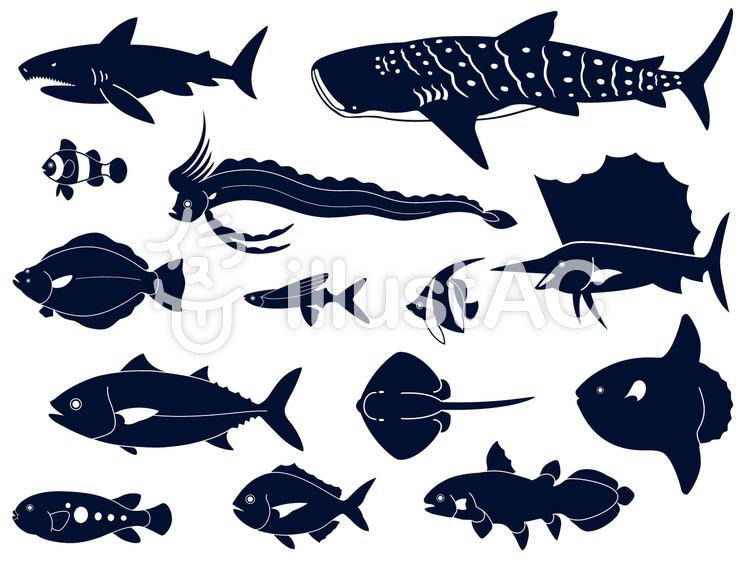 動物シルエット海の魚イラスト No 888393／無料イラストなら「イラストAC」