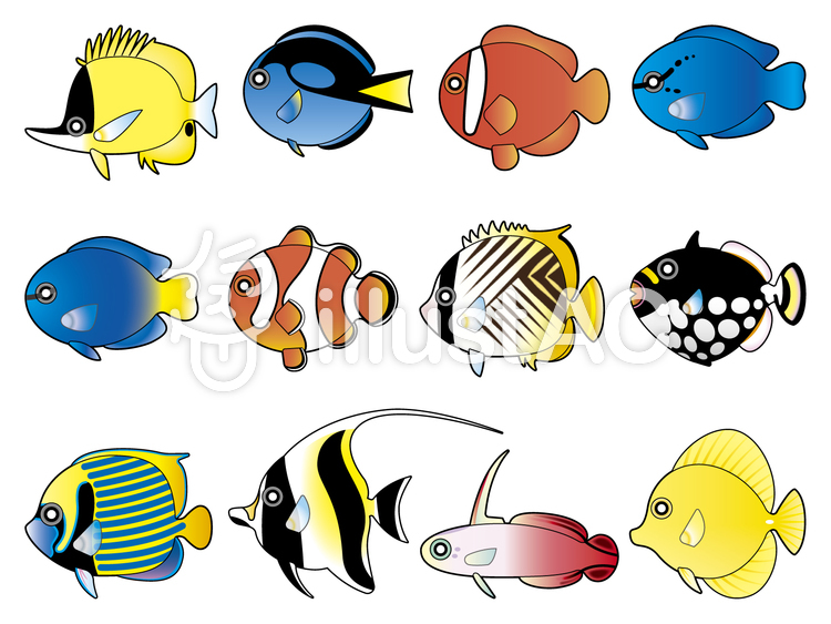 動物画像無料 トップ100沖縄 魚 イラスト