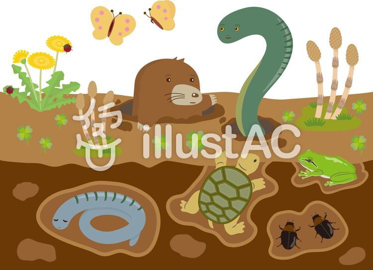 啓蟄イラスト No 1847912／無料イラストなら「イラストAC」