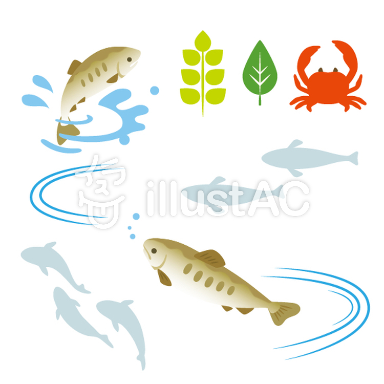川 魚 淡水魚 イラスト