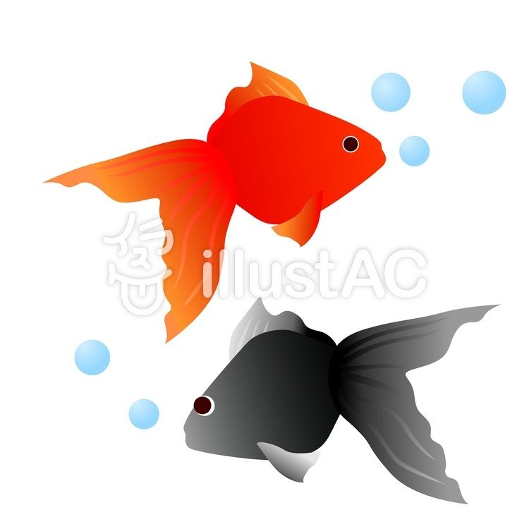 ラブリー水彩 金魚 イラスト フリー イラストのアイデア