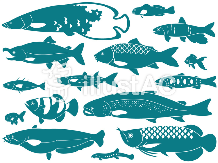 動物シルエット川の魚イラスト No 998777／無料イラストなら「イラストAC」