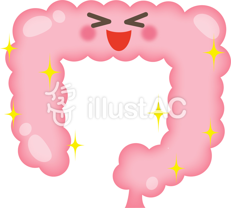 健康な大腸イラスト No 398215／無料イラストなら「イラストAC」