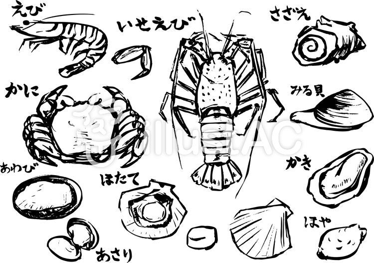 筆 魚06イラスト No 1702809／無料イラストなら「イラストAC」