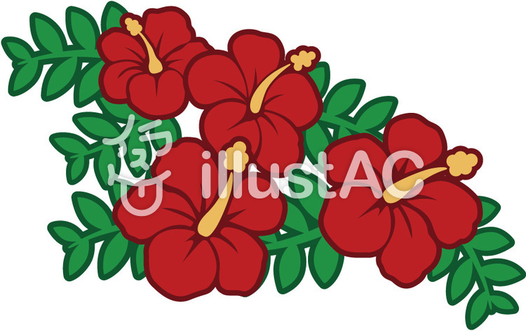 Zolmovies ハイビスカス 待ち受け イラスト