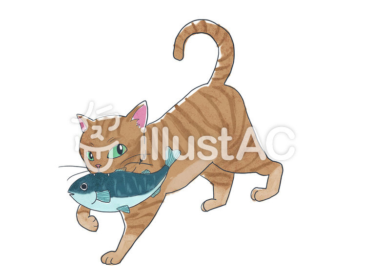 お魚くわえたドラ猫イラスト No 1464236／無料イラストなら「イラストAC」