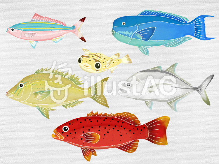 [紅型風] 沖縄で釣れる海水魚イラスト No 1553663／無料イラストなら「イラストAC」