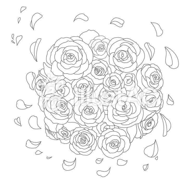 薔薇の花束・大人の塗り絵イラスト No 1769336／無料イラストなら「イラストAC」