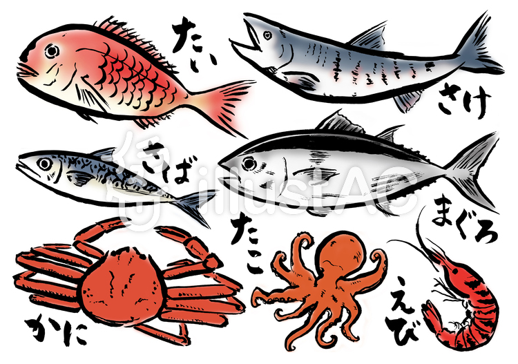 筆書き魚色々カラーイラスト No 606507／無料イラストなら「イラストAC」