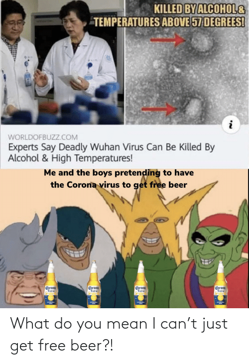 Why Does Corona Beer Give Me Diarrhea? AC/DC Beverage