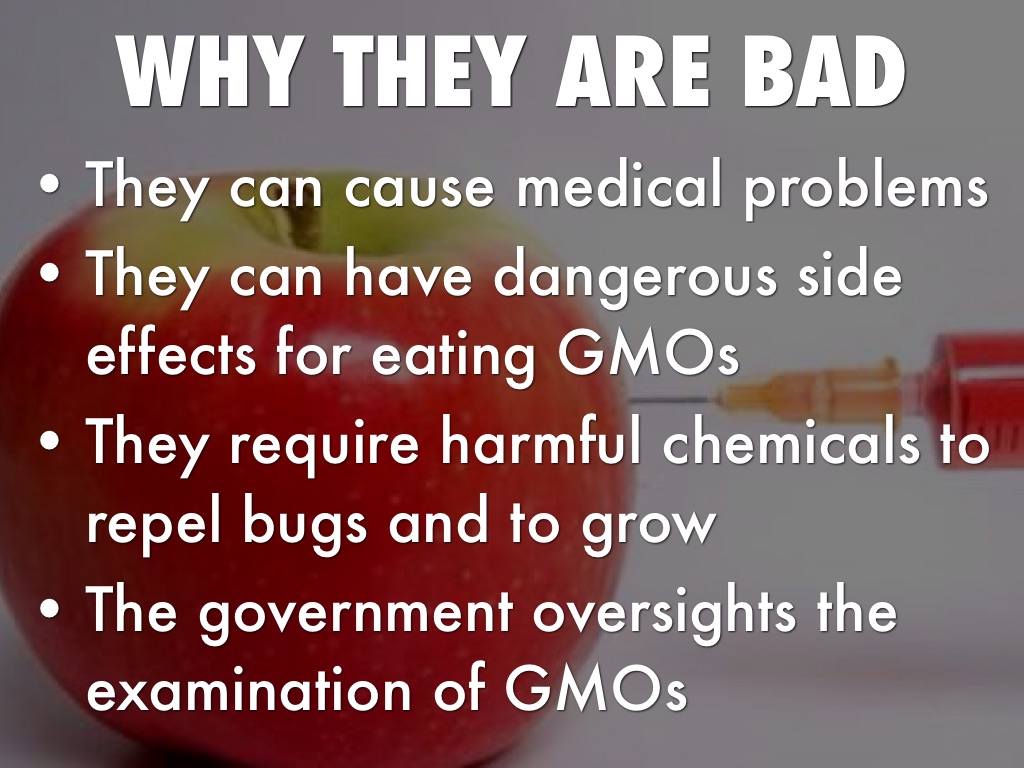 Do Gmos Affect Photosynthesis