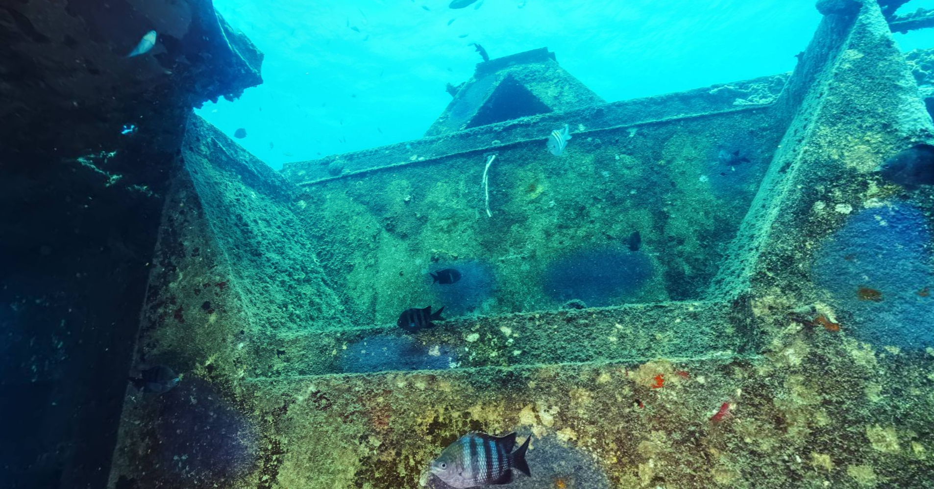 Atlantic Princess Shipwreck Content ClassConnect