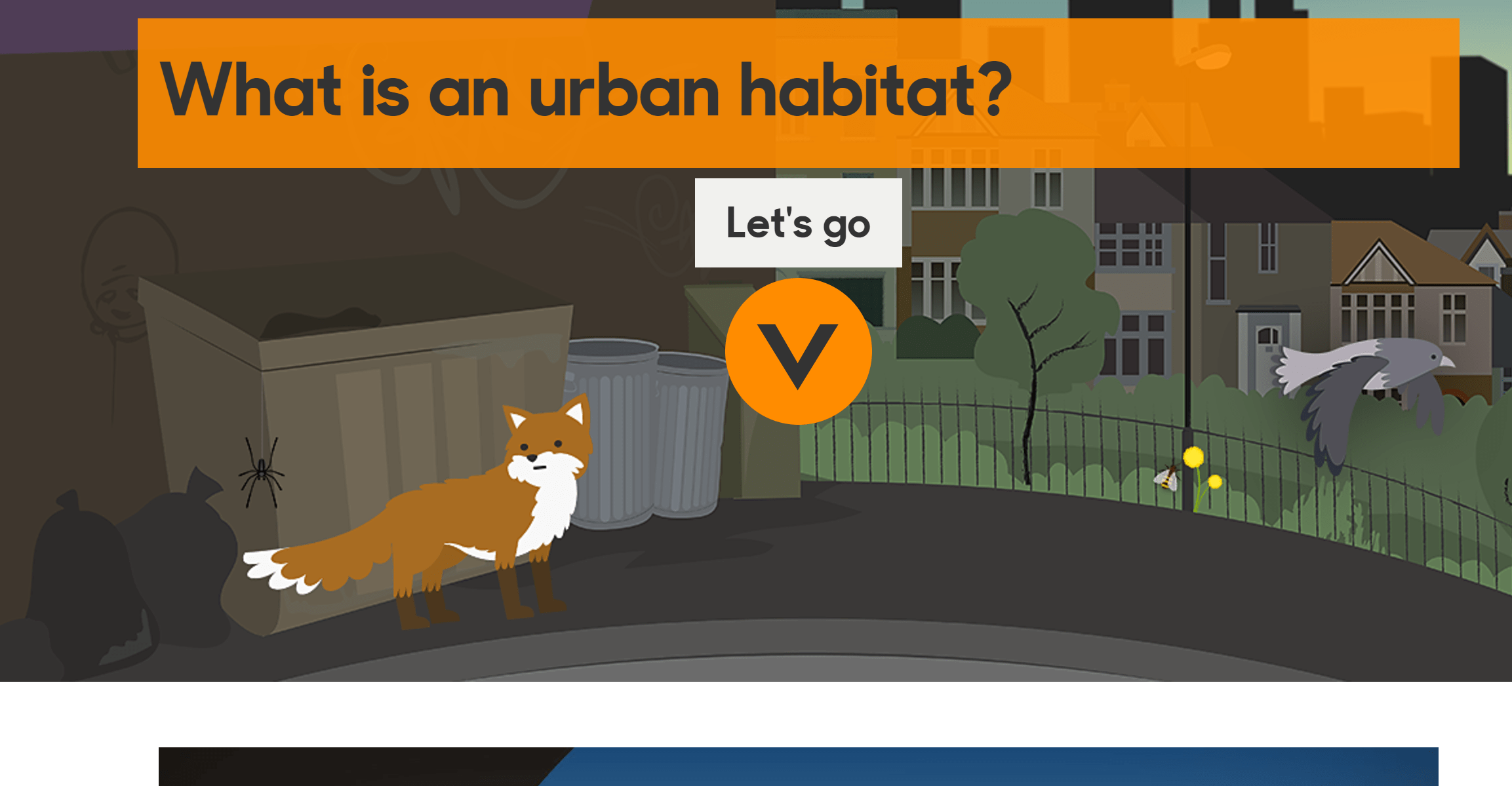 BBC Urban habitats Content ClassConnect