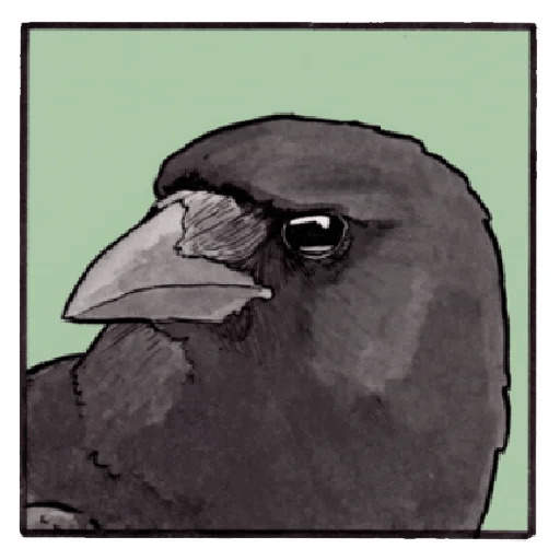 False Knees Telegram stickers