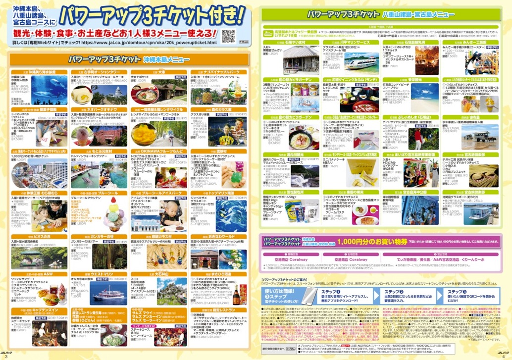JAL パワーアップ沖縄 新日本旅行