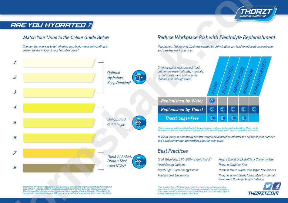 Urine Color Chart printable pdf download