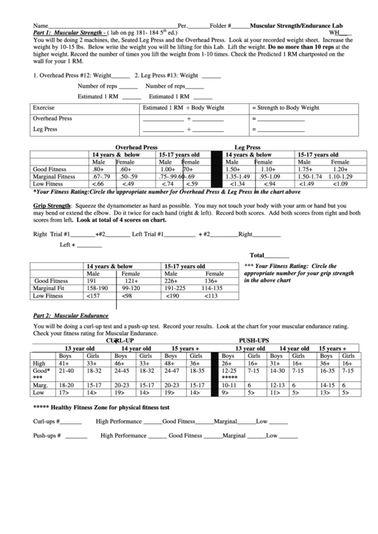 Muscular Strength/ Endurance Lab printable pdf download