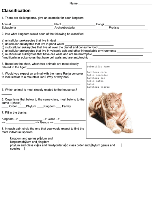 'Classification' Biology Worksheet printable pdf download