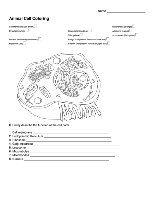 Animal Cell Coloring printable pdf download