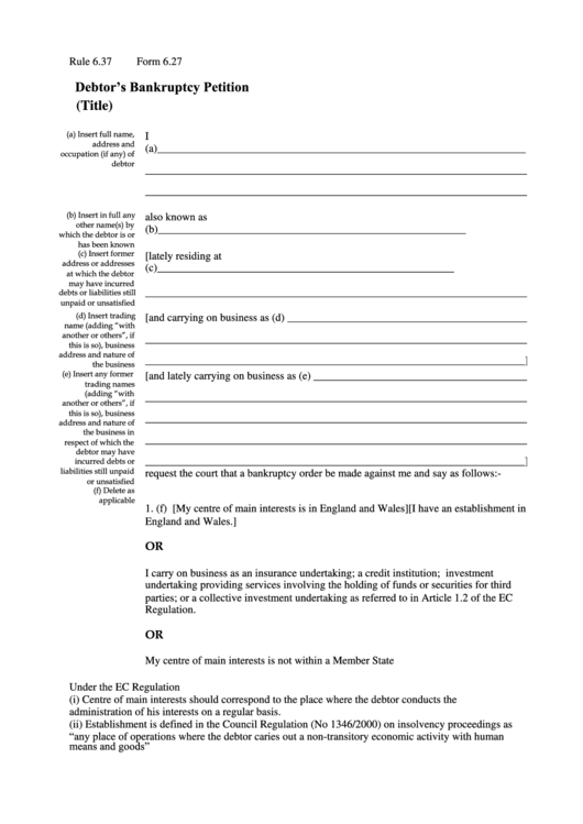 Debtor'S Bankruptcy Petition Form printable pdf download