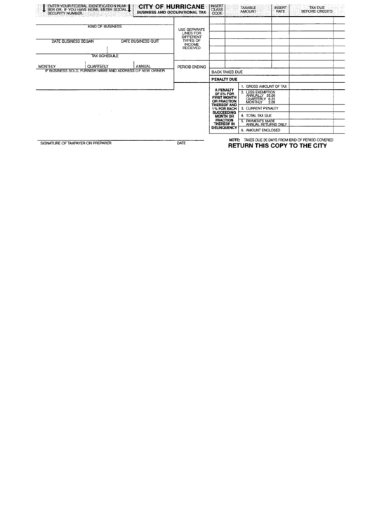 Business And Occupational Tax Form printable pdf download