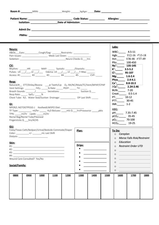 Medical Report Sheet printable pdf download