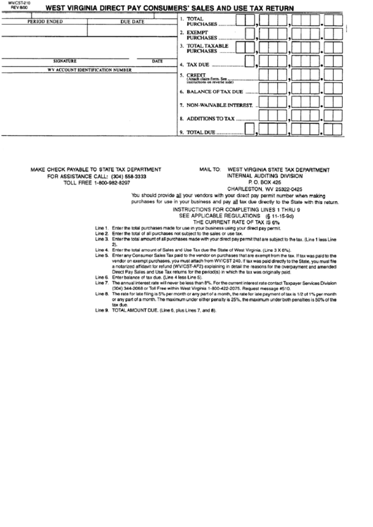Form Wv/cst210 Direct Pay Consumer'S Sales Use Tax Return printable