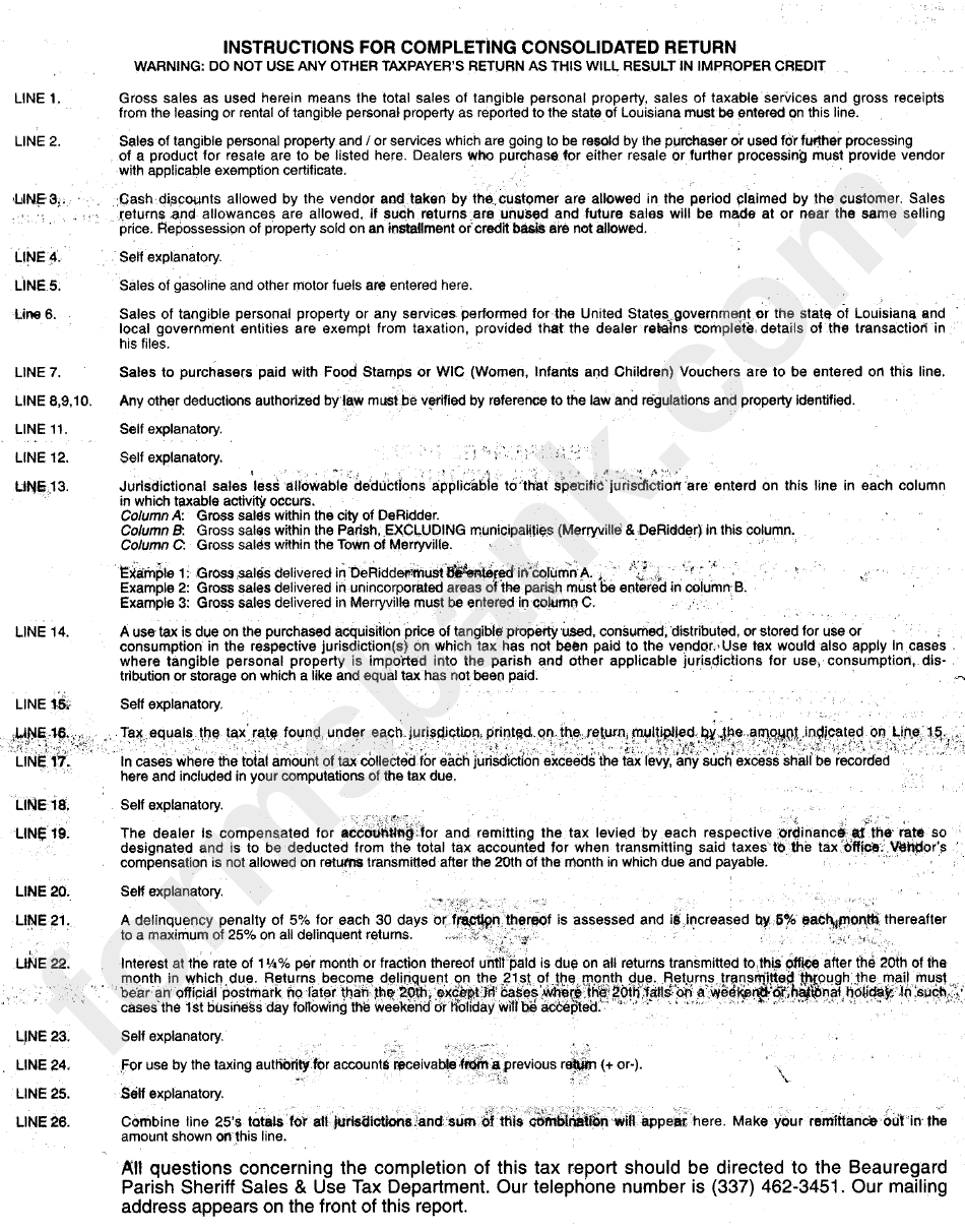 Instructions For Completing Consolidated Return Form Beauregard
