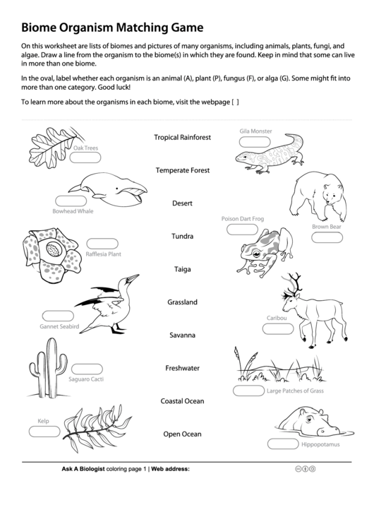 Biome Organism Matching Game Biology Worksheet printable pdf download