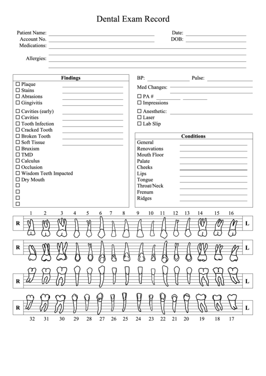 Dental Exam Record printable pdf download