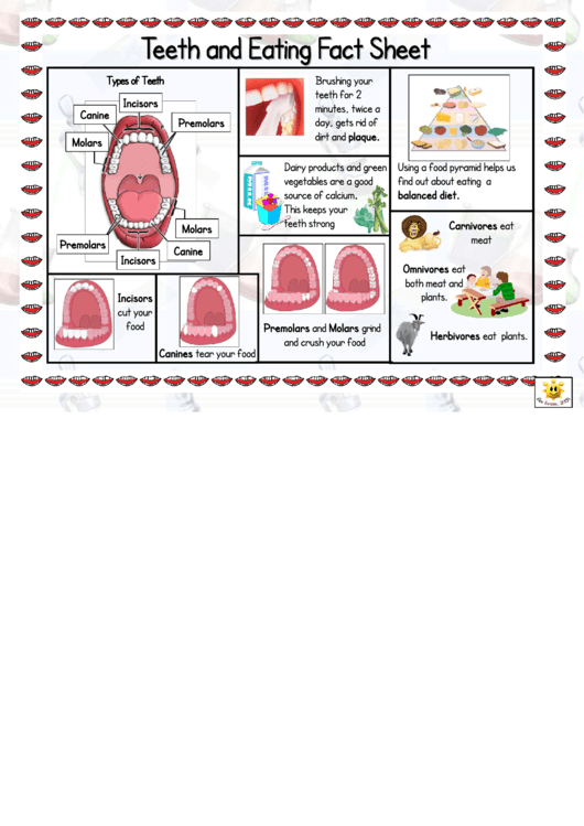 Top Medicare Fact Sheets free to download in PDF format