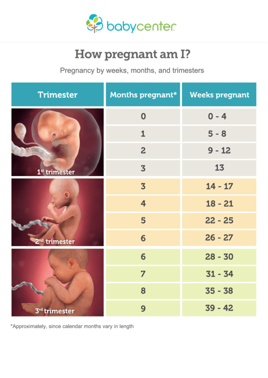 Pregnancy Month, Weeks And Trimester Chart printable pdf download