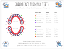 General Timeline Of Baby Teeth Eruption And Falling Out Chart printable