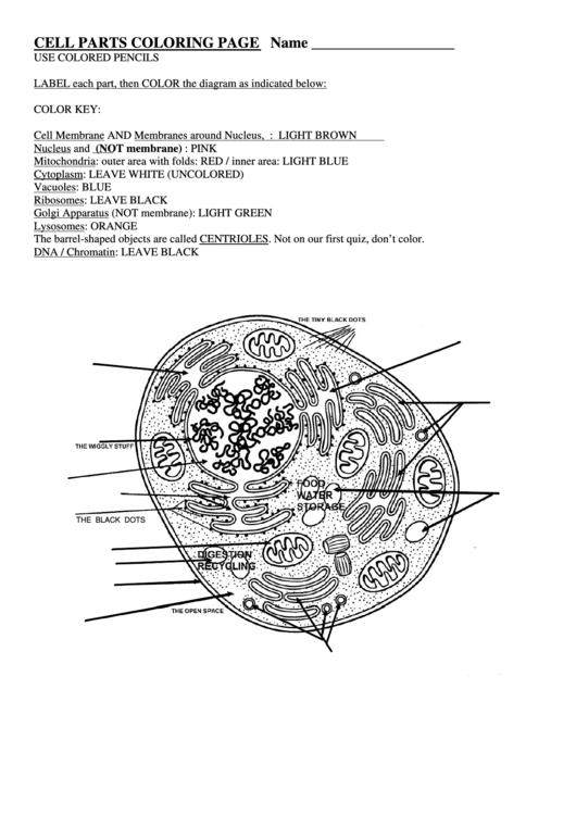 Cell Parts Coloring Page printable pdf download