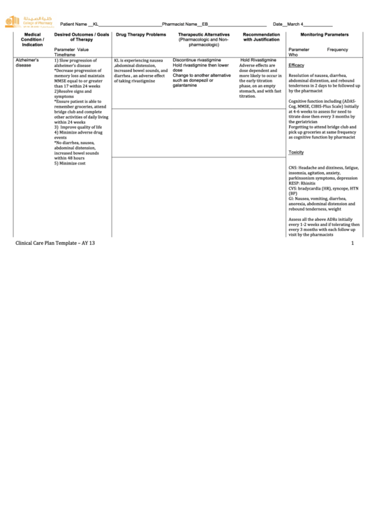 Sample Completed Care Plan printable pdf download