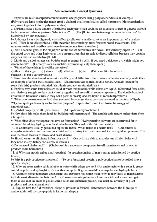 Macromolecules Worksheet Template printable pdf download