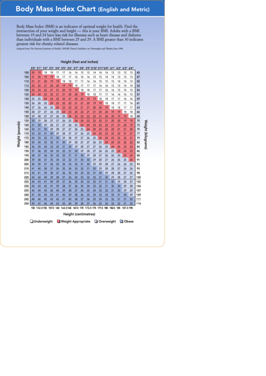 Body Mass Index Chart (English And Metric) printable pdf download