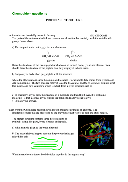 Proteins Structure printable pdf download