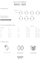 Top 20 Ring Size Charts For Women free to download in PDF format